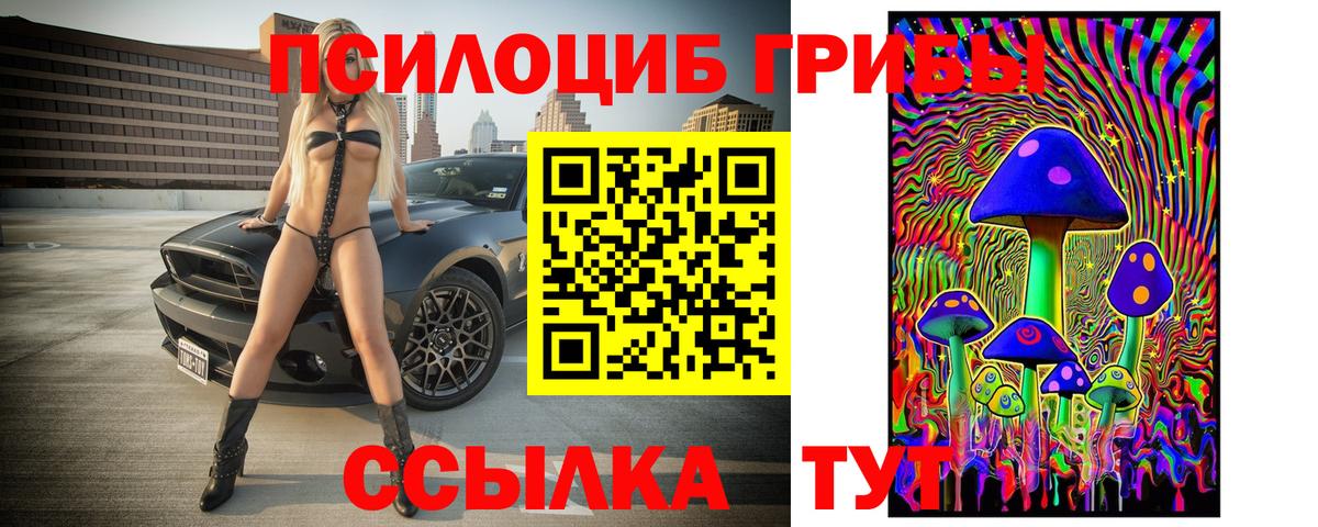 Псилоцибиновые грибы Psilocybine cubensis  Вход с VPN  Норильск  Галлюциногенные грибы мицелий 
